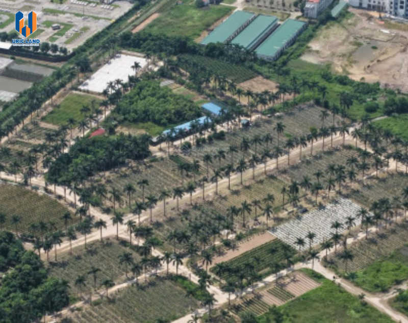 Đánh giá tổng quan - Không gian sống mơ ước, sinh lời dài hạn